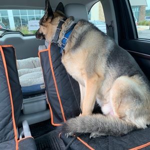 Meet your Posher, Nicole